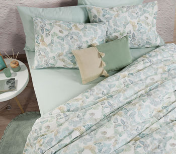 barboletas aqua